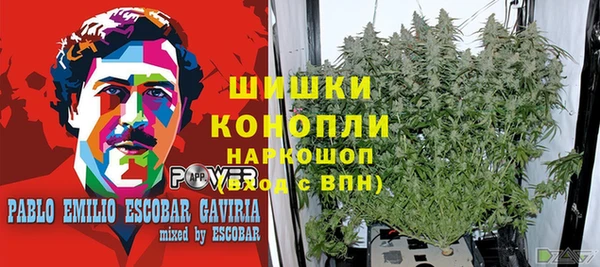 индика Балахна