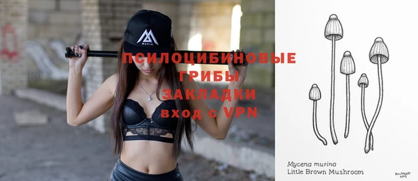 индика Балахна