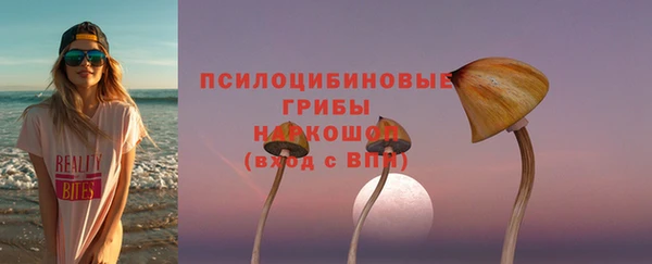индика Балахна