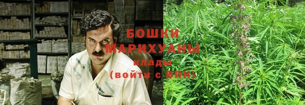 индика Балахна