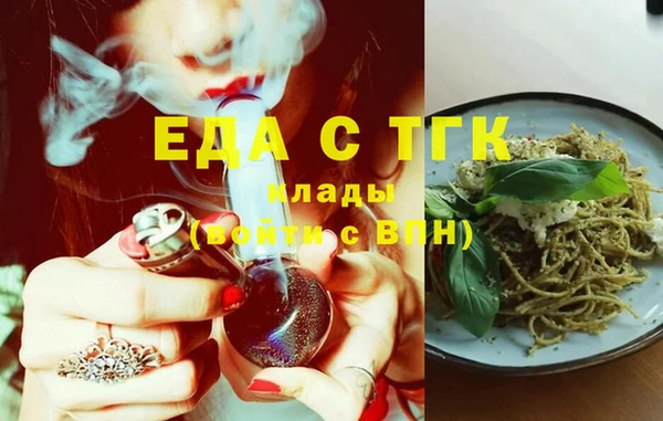 индика Балахна
