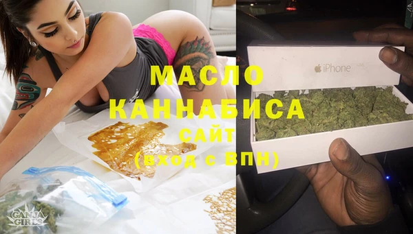 индика Балахна