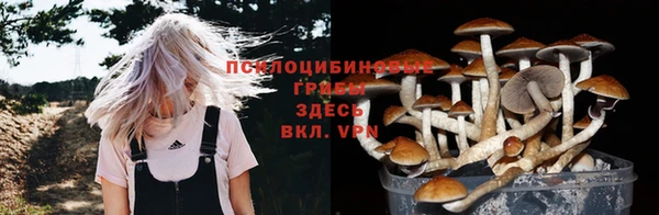 мдпв Баксан