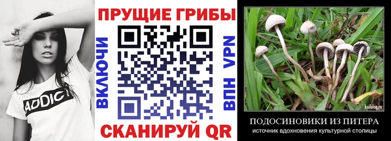 Псилоцибиновые грибы MAGIC MUSHROOMS  Демидов 