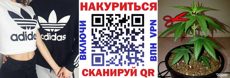 Каннабис AK-47  omg как зайти  Демидов  купить  сайты 